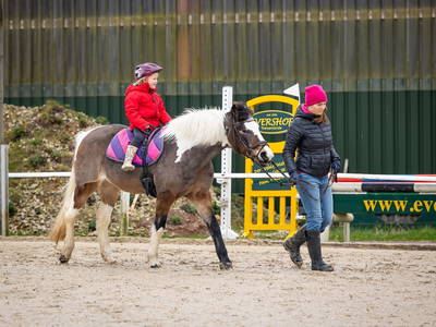 Ponyführen von Montag bis Freitag