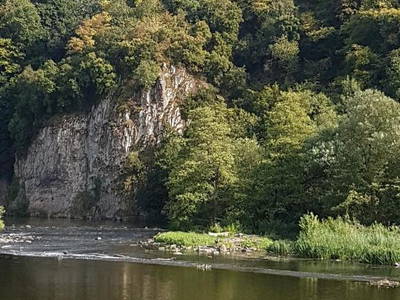 Bild 7 aus  Ferienhaus am Fluss