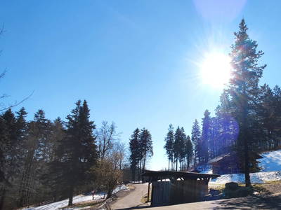 Bild 21 aus  Ferienparadies am Rennweg