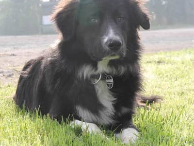 Bild 15 aus  Campinghof Dreisprung