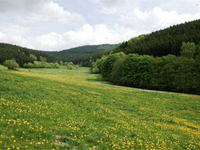 Bild 12 aus  Ferienhof Schmidt-Köss