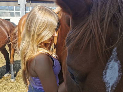 Bild 38 aus  Reitschule Fuchsenhof FN