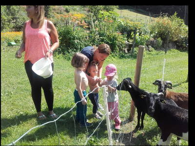 Bild 23 aus  Forstbauer am Millstätter Hochplateau