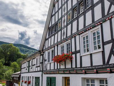 Bild 47 aus  Ferienbauernhof Voß