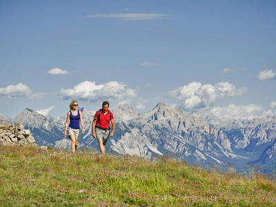 Bild 37 aus  Appartement Birkenhof - Urlaub mit Pferden und Alpakas