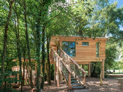 Bild 2 aus  Mainbaumhaus