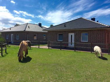 Bild 3 aus  Bauernhof Claussen Fehmarn