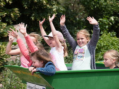 Bild 5 aus  Bauer Lange