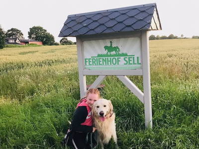 Bild 10 aus  Ferienhof Sell Bauernhofurlaub Ostsee Ponys