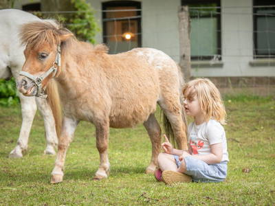Bild 46 aus  LINDENHOF- BAUERNHOFURLAUB / OSTSEENÄHE