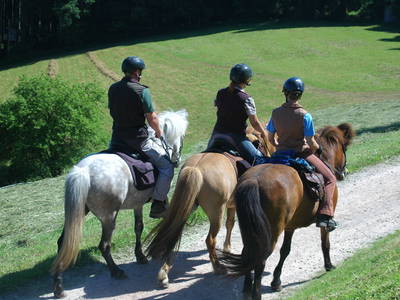 Bild 8 aus  Landeckhof