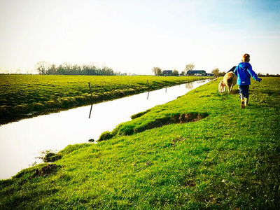 Bild 8 aus  Ferienhof   Witte Haubarg                -  2025 Beliebtester Ferienhof für Familienurlaub