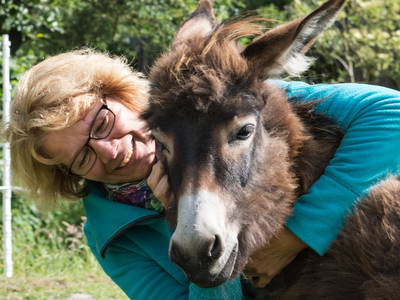 Bild 11 aus  Ferienhof Lorenzen