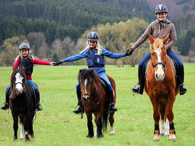 Bild 3 aus  Hof Kilbe