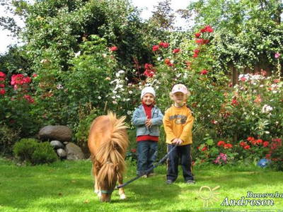 Bild 8 aus  Ferienhof Andresen Nordsee