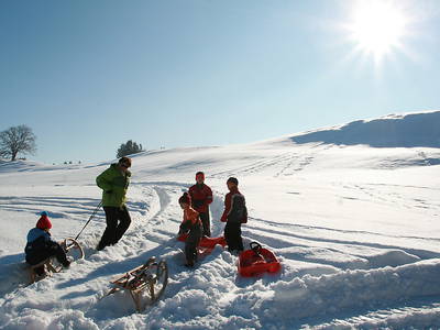 Bild 18 aus  Martinshof