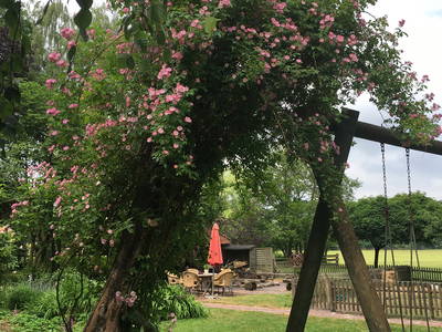 Bild 5 aus  Onken's Hof an der Niedersächsischen Nordseeküste, in Ostfriesland