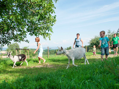 Bild 23 aus  Ferienhof Siber