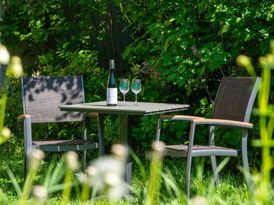 Bild 2 aus  Ferienweingut Becker