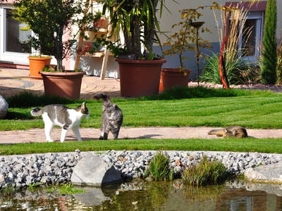 Bild 10 aus  Brunnenhof Hiss