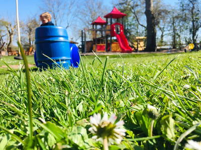 Bild 26 aus  Ferienhof Presener Deichkrone