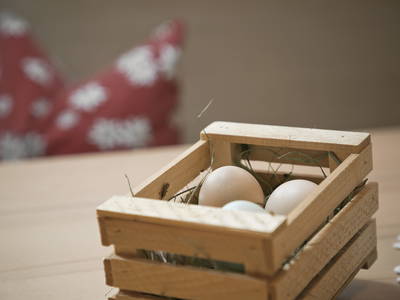 Bild 10 aus  Neuhauserhof