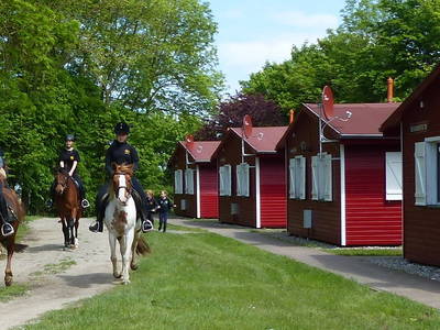 Bild 6 aus  Bernsteinreiter Barth