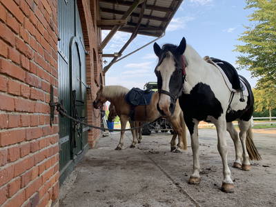 Bild 13 aus  Hof Thomsen