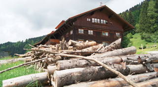 Hansjokar aus Blaichach