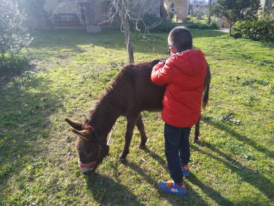 Bild 44 aus  Urlaub auf dem Lande zwischen den zwei Meeren - Apulien - Salento