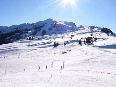 Bild 20 aus  Schauerhof