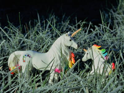 Bild 49 aus  Hof Schlossblick  " der etwas andere Bauernhof "