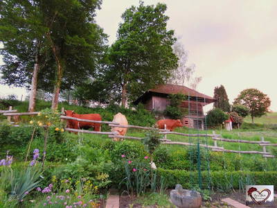 Bild 19 aus  „Hernis-Höfle“ Wohlfühlambiente im Elztal  5⭐️Sterneferien.