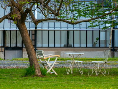 Bild 6 aus  Gut Hornegg