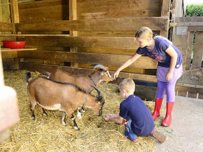 Bild 21 aus  Thelenshof