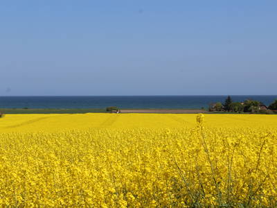 Bild 8 aus  Hof Grünberg
