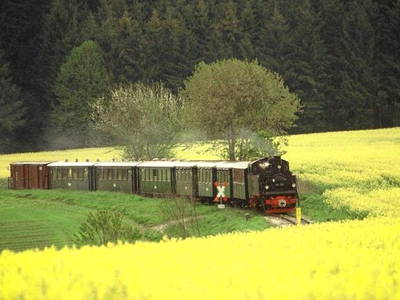 Bild 13 aus  Ferienhof Häckler