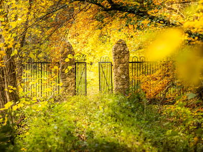 Bild 58 aus  Gut Neuwerk