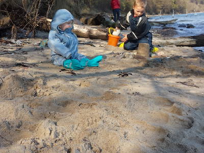 Bild 17 aus  Fredensminde Ferie