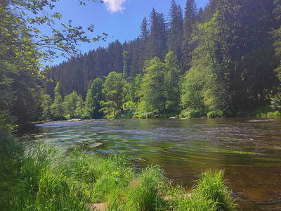 Bild 72 aus  Woferlhof