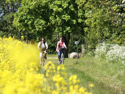 Bild 27 aus  LandSelection Ferienhäuser Bauernhof Haltermann Fehmarn