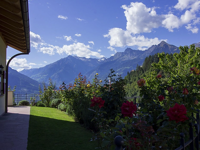 Bild 6 aus  WEINGUT & APARTMENTS WEI TGRUBER    CIN:  IT021051B4HVROK894