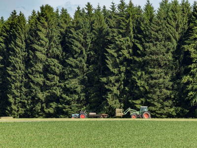 Bild 60 aus  Allgäu Bergferienhof