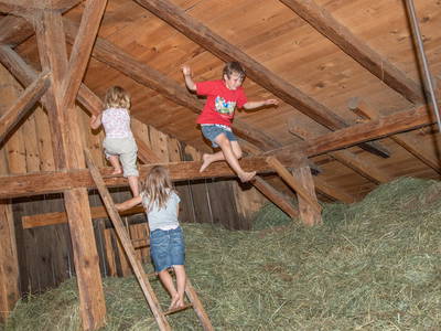 Bild 24 aus  Wieserhof