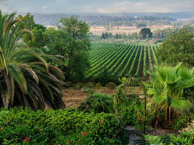 Bild 9 aus  Casa Nova