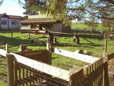 Streichelgehege mit 2 kleinen Ziegen
