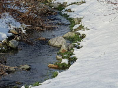 Bild 21 aus  Schwarz-Hof