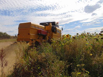 Bild 10 aus  Ferienbauernhof Neumühle
