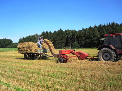 Bild 32 aus  Leverenzhof