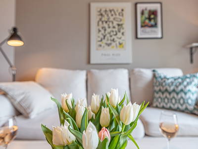 Bild 13 aus  Ostseeblick auf Gut Oehe